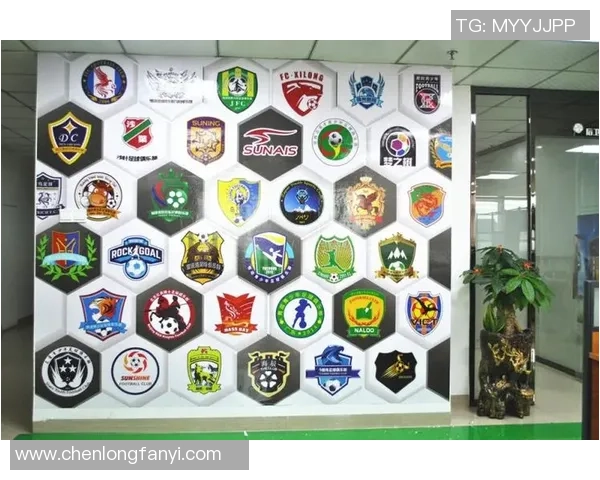 向往足球明星名单汇总及其成就分析与球迷互动活动计划 向往足球明星名单汇总及其成就分析与球迷互动活动计划