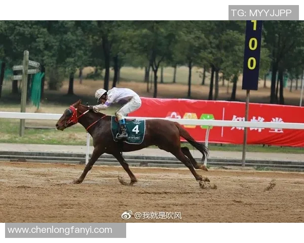 赛后分析：北京与武汉羽毛球队心理素质对比与启示